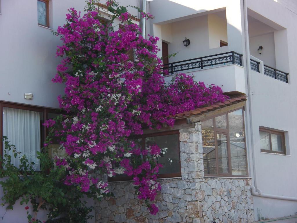 Serenity Hideaway Palaiochora Quarto foto